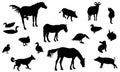 Silhouettes of livestock, domestic animals and birds. Horses, pigs, rabbits, ducks, and other animals isolated on background. Vect Royalty Free Stock Photo